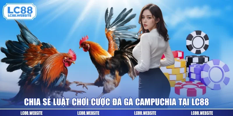 Chia sẻ luật chơi cược đá gà Campuchia tại LC88